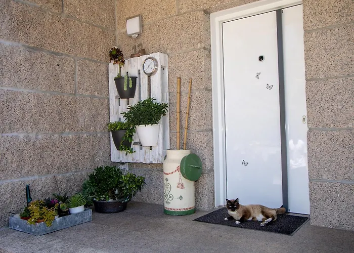 Pontevedra- A Caeira 아파트 *